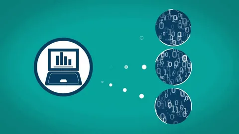 Amazon Marketing & Optimization